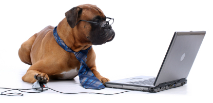 Boxer til online kursus
