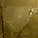 web - integration web-integration
